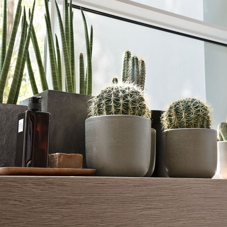 Különböző növények az ablakpárkányon