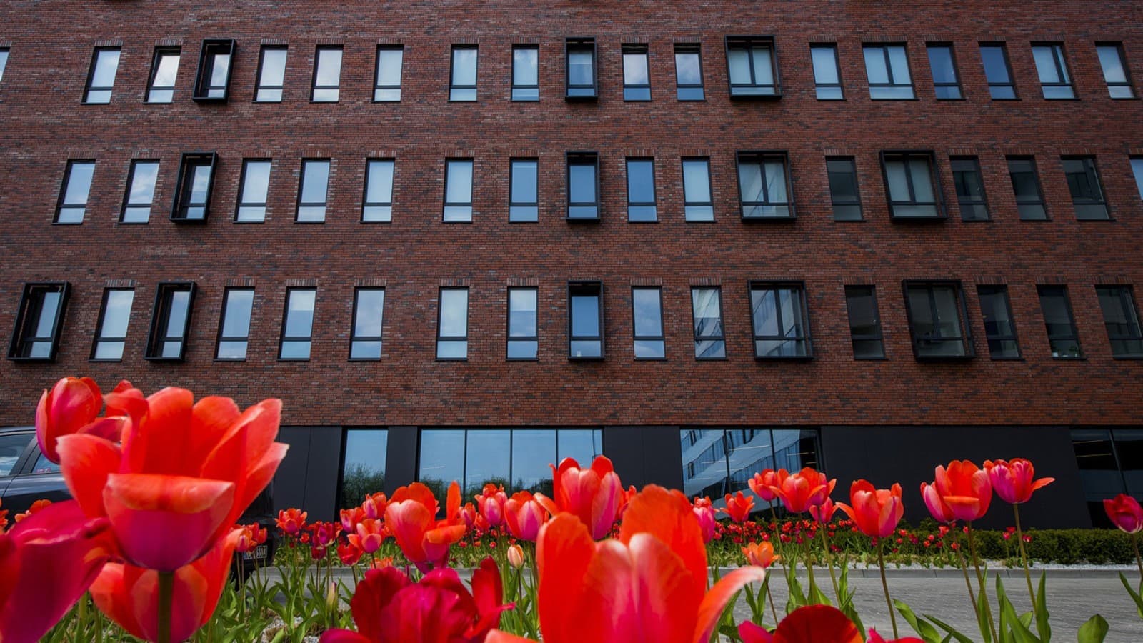 Korábban gyárépület, ma kollégium: a krakkói LivinnX. (PL) (© Jaroslaw Kakal/Geberit) Korábban gyárépület, ma kollégium: a krakkói LivinnX. (PL) (© Jaroslaw Kakal/Geberit)